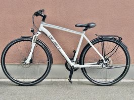 Specialized  Herrenvelo 28 Zoll