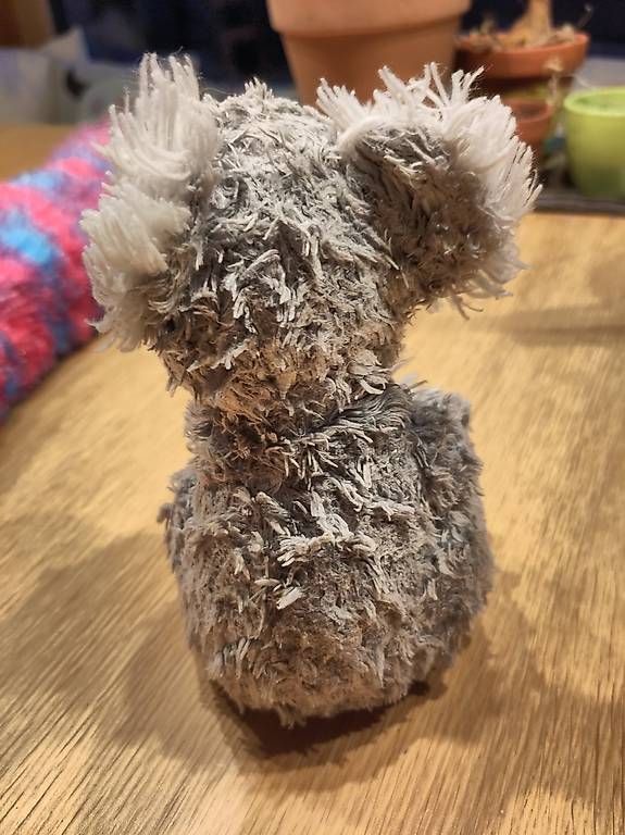 Giocattoli: Plüschtier Koala – Usato da Wattwil venduto da ---------- 1