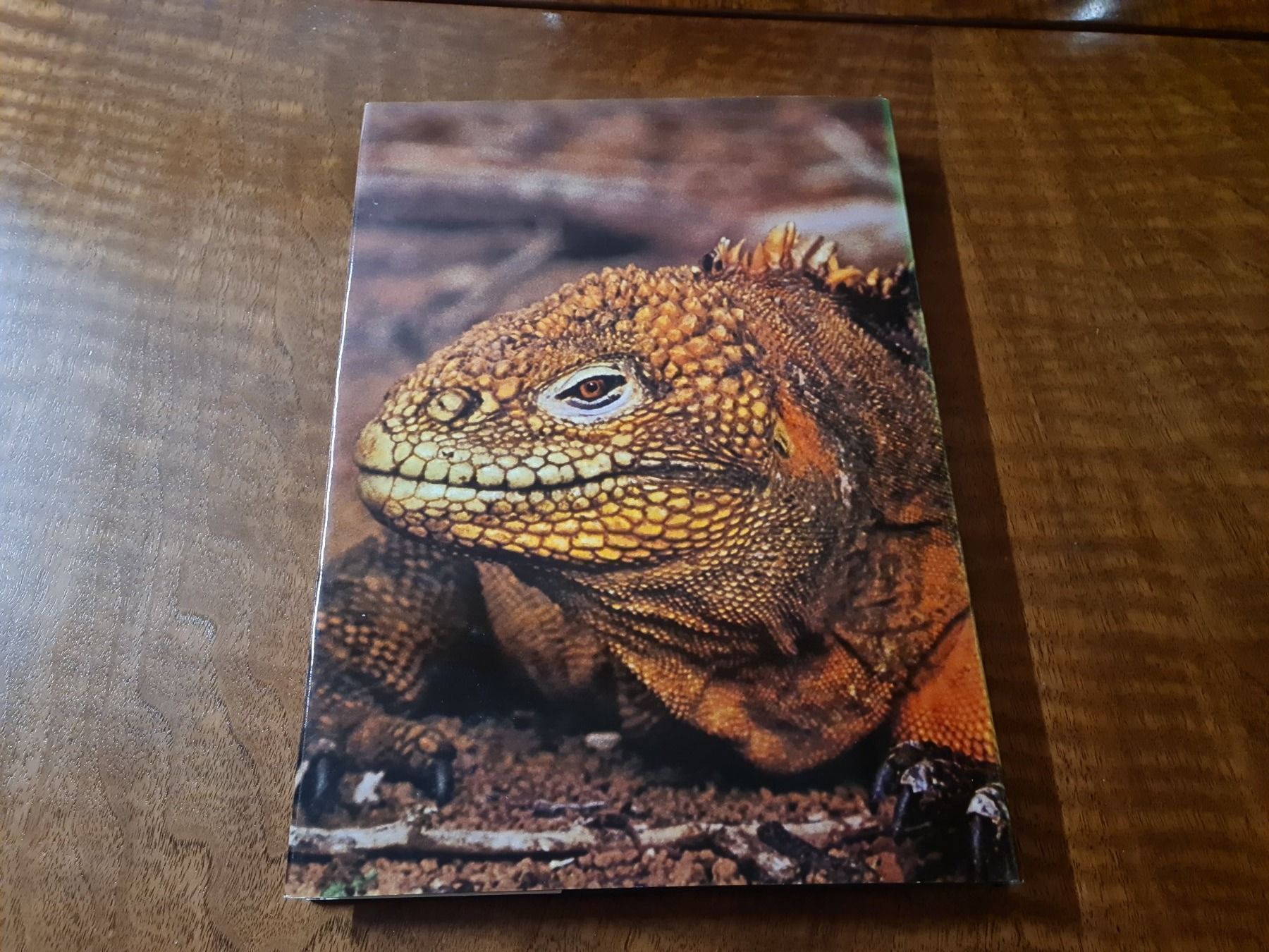 Bücher: Zoo Galapagos – Gebraucht aus Erstfeld von Uhu1980 4