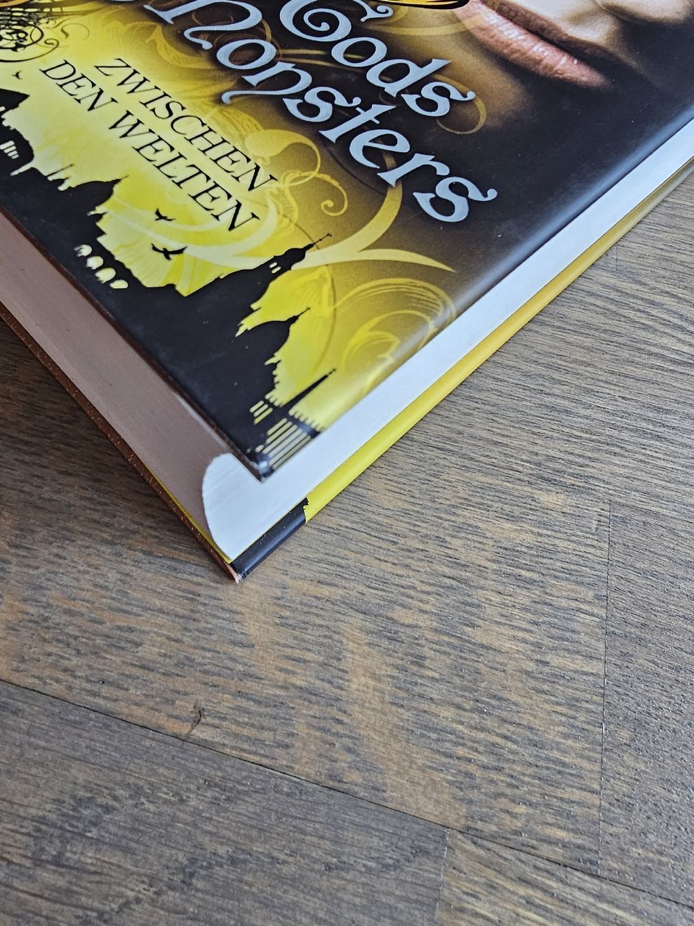 Bücher: Zwischen den Welten - Laini Taylor – Gebraucht aus Hinterforst von impatiently 8
