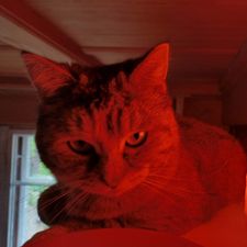 Profile image of Chris1510