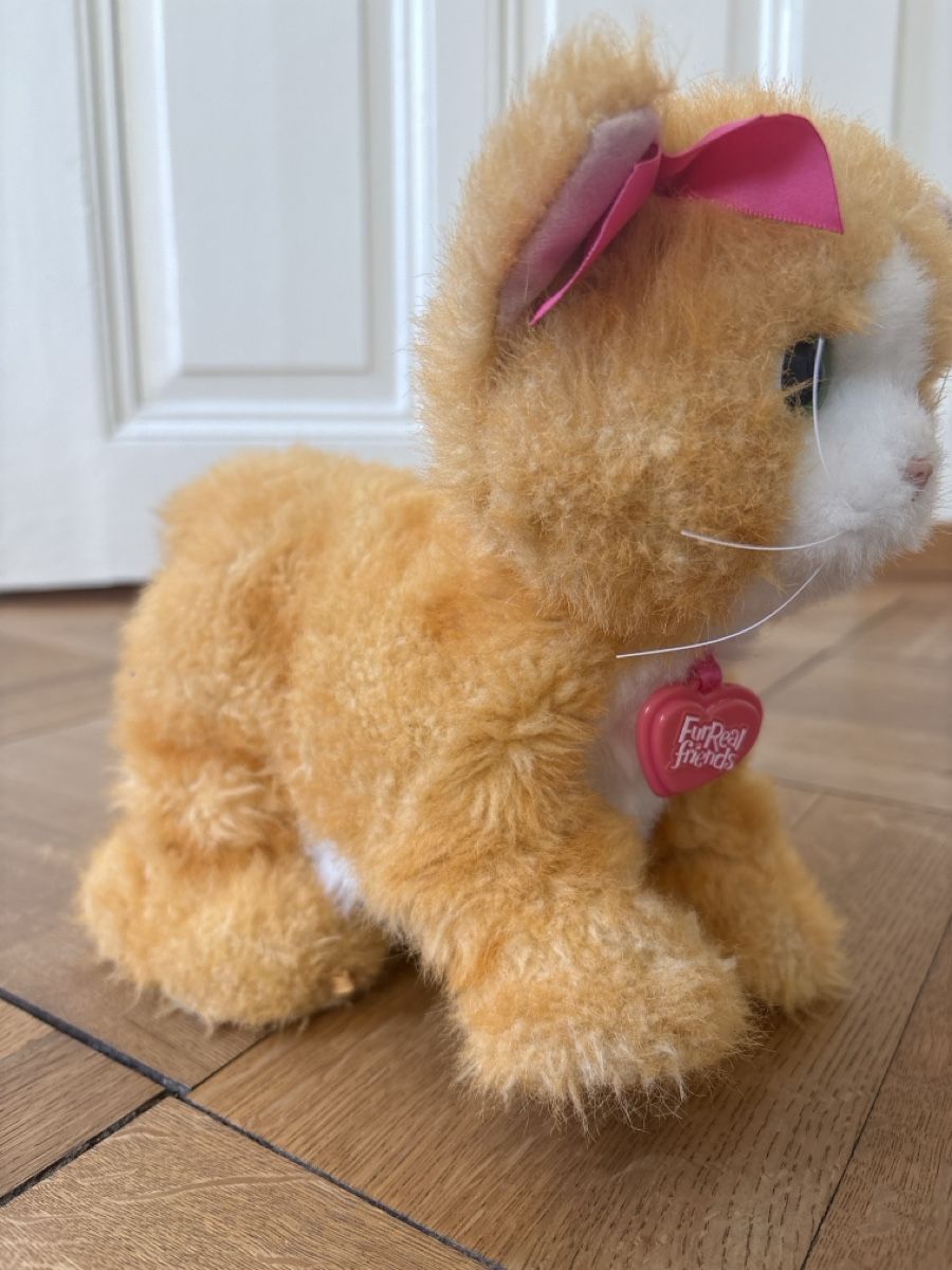 FurReal Giocattoli: FurReal friends Katze – Usato da Bern venduto da 24Sonne24 2
