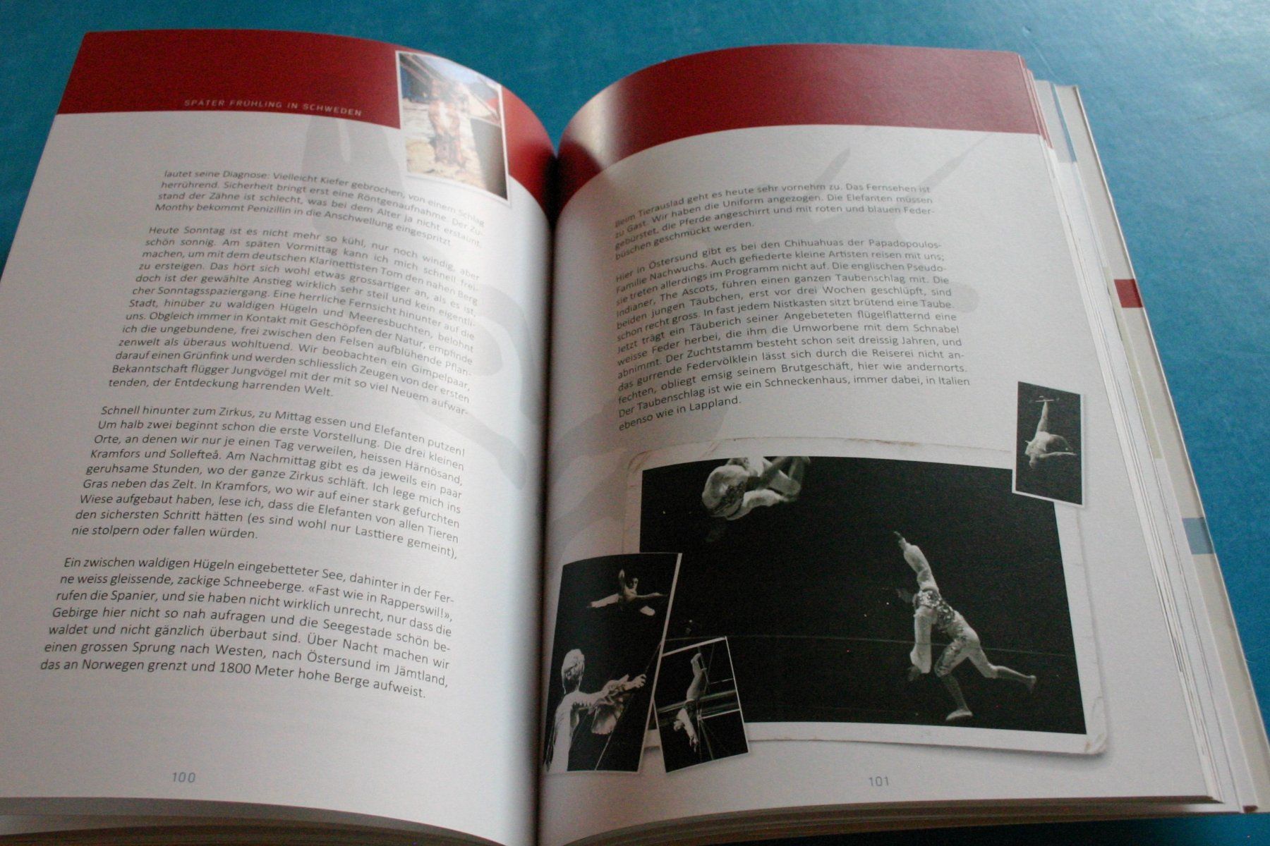 Libri: Zirkus Circus Mit Sandry nach Schweden – Usato da Winkel venduto da franzxaver60 5