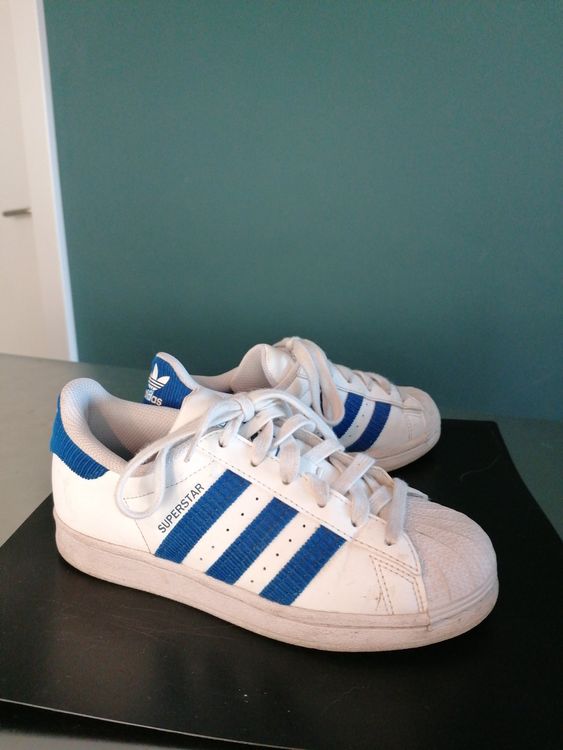 adidas superstar 36.5