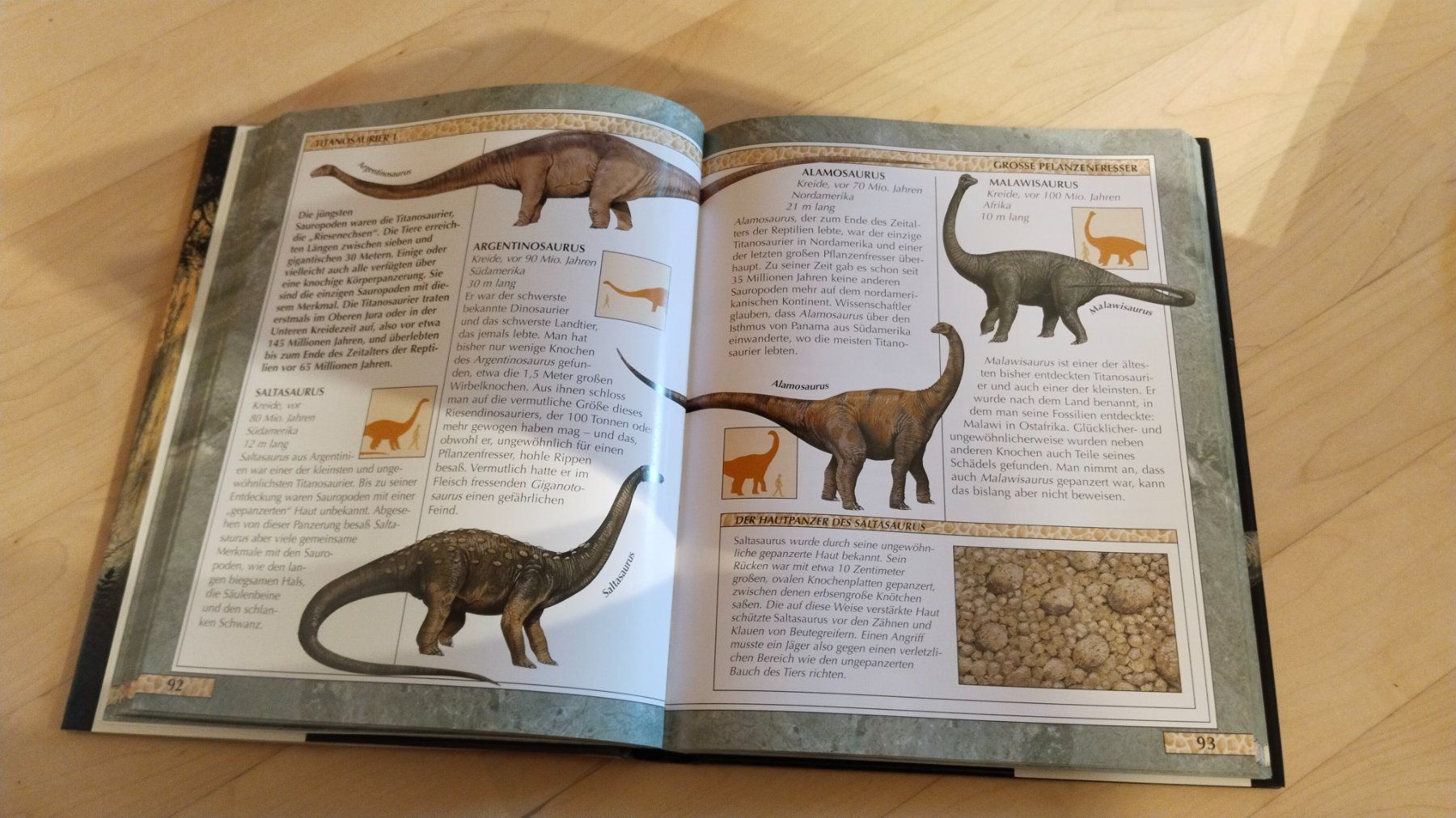 Bücher: Dinosaurier Sachbuch - Das Reich der Dinosaurier – Gebraucht aus Brülisau von san_d8f2 1