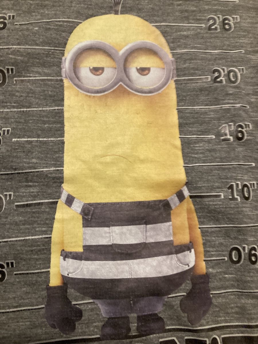 Camicie, T-shirt & Polo: Kinder Minions Shirt Gr. 116 – Usato da Emmenbrücke venduto da JJ_89 1