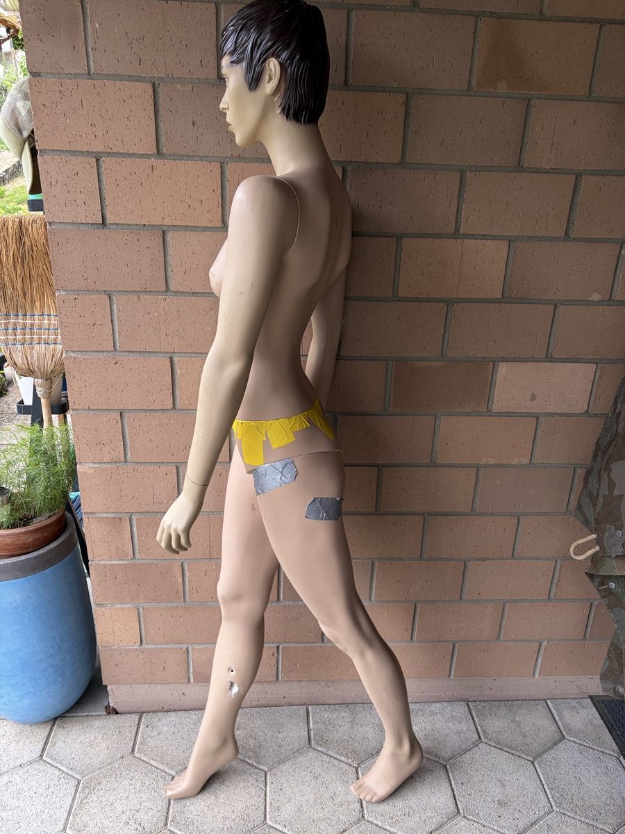 Altro in Decorazioni & Accessori: Weibliche Schaufensterpuppe – Usato da Balsthal venduto da Sven.sch 1