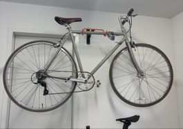 Weisswangenkauz Citybike