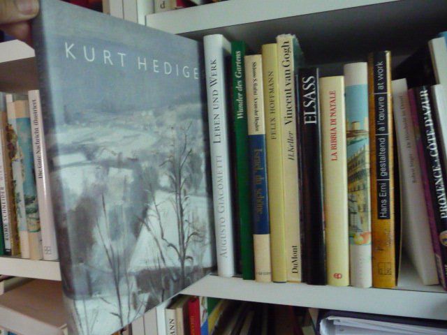 Libri: Bibliothek / Bücherwand – Usato da Schönenwerd venduto da befido 4