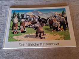 Der fröhliche Katzensport Buch, lustige Geschichten