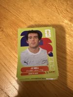 Panini FIFA World Cup Sticker – 172 Stück