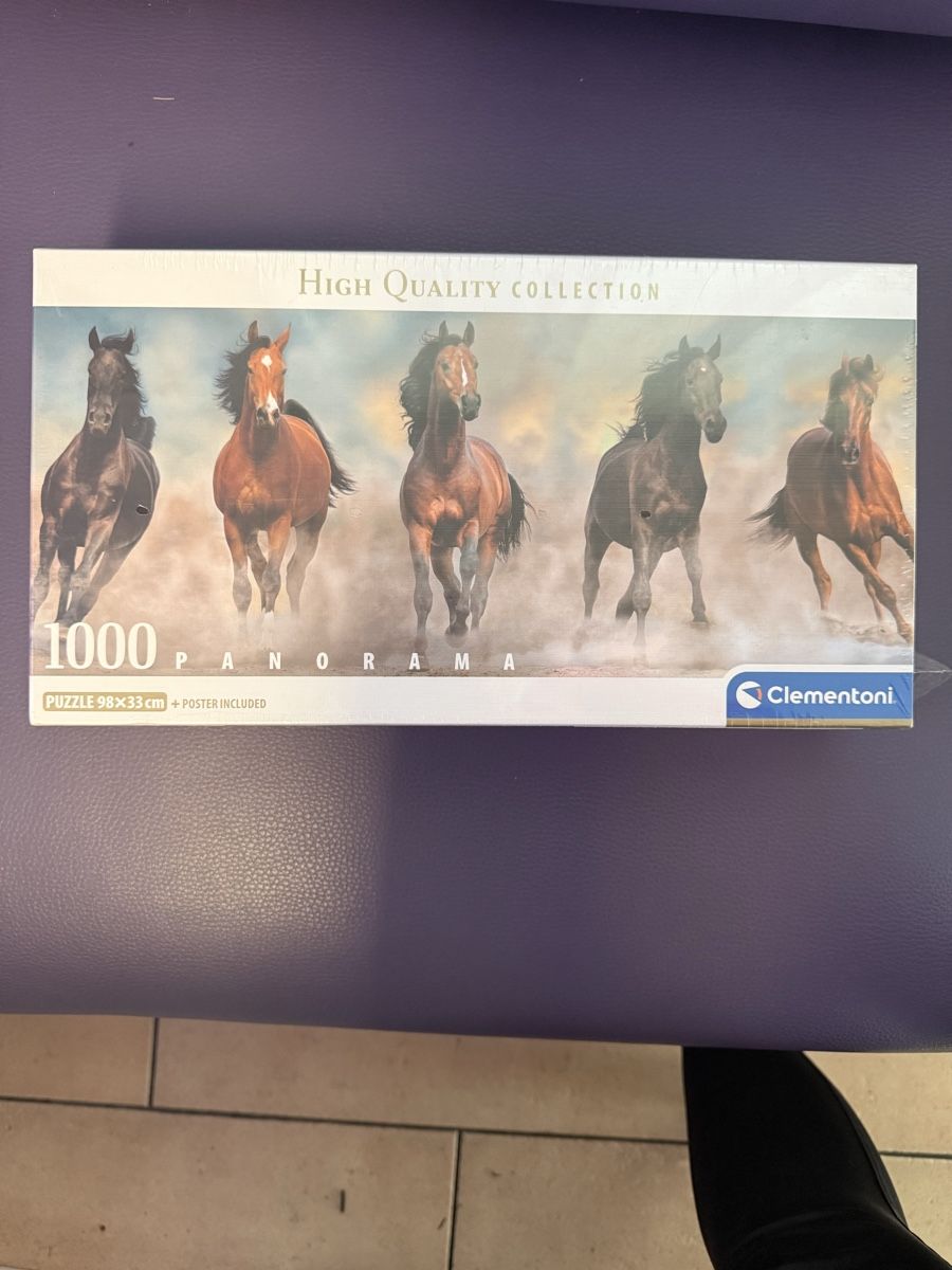 Clementoni Puzzle: 1000 Panorama Puzzle 98x33 cm  – Nuovo e nell'imballaggio originale da Vaduz venduto da mausilein22