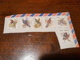 Ciskei 6 timbres Oiseaux