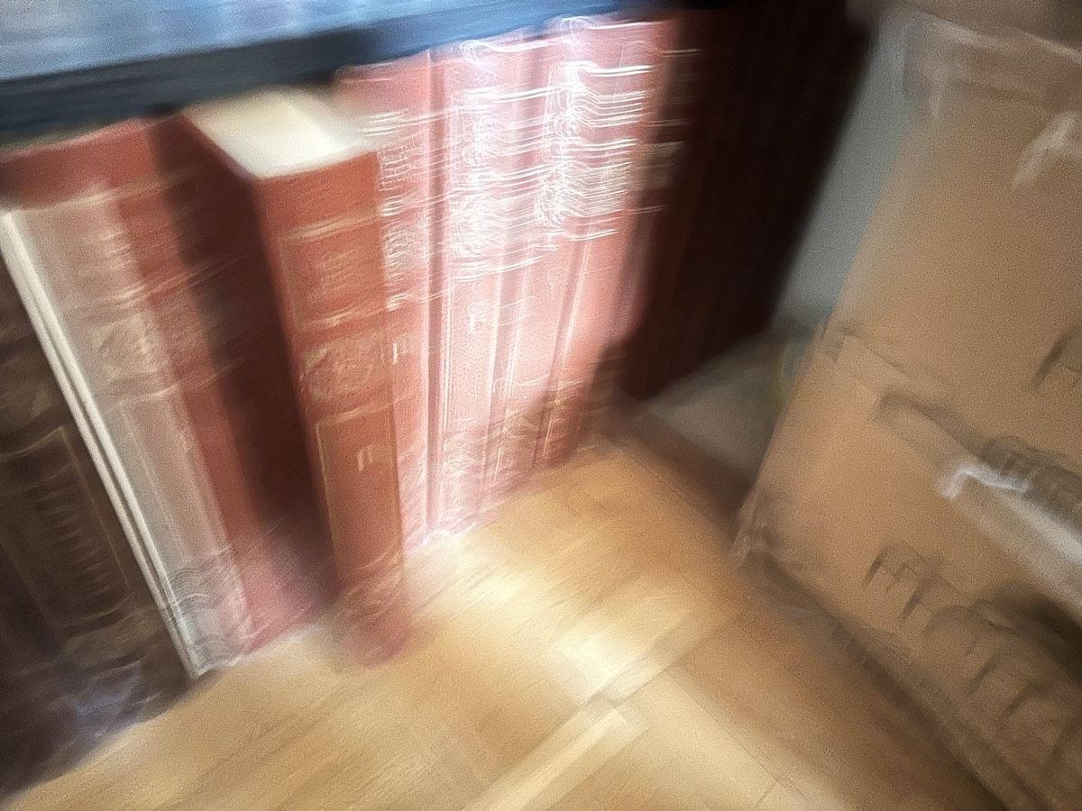 Libri: I maestri del colore / sculpture – Usato da Gy venduto da espace2003 2