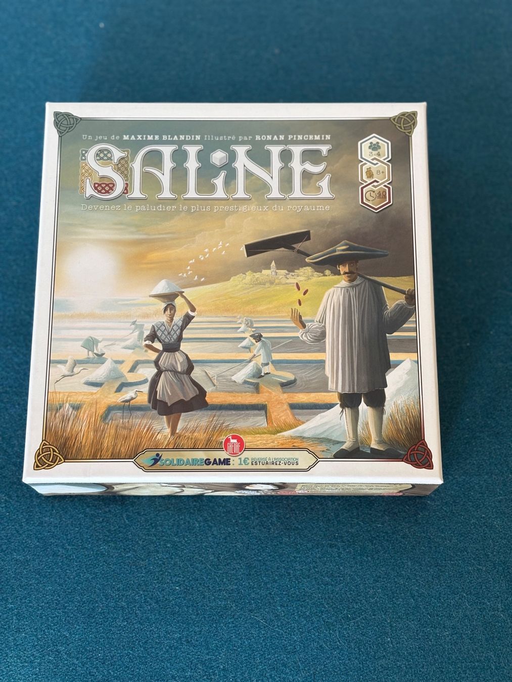 Giochi: Jeu de société Saline – Usato da Lausanne venduto da vst8