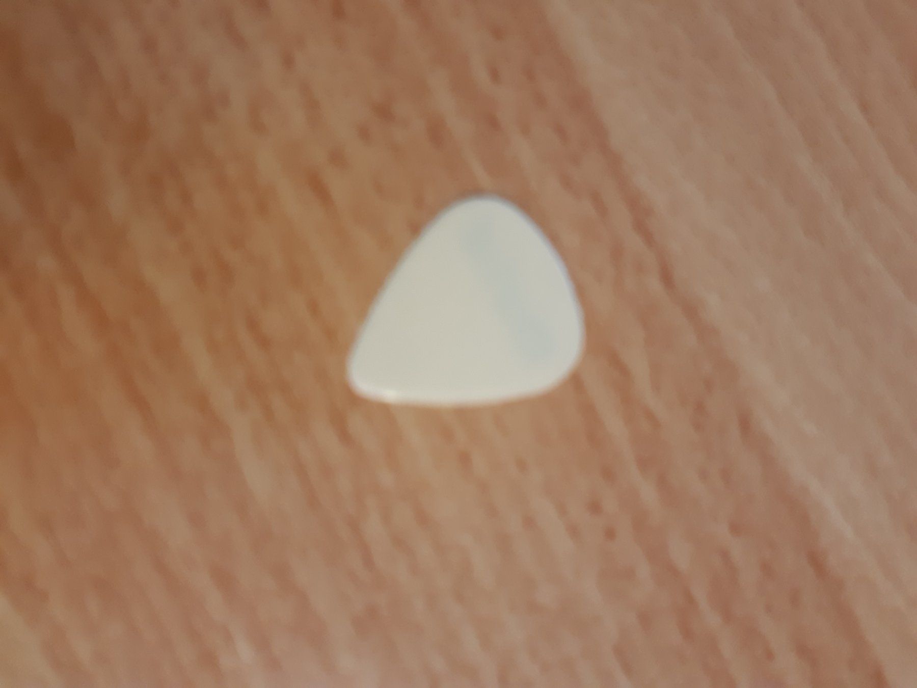Strumenti musicali: Meat Loaf Plektrum – Usato da Bülach venduto da blackhawk21 1