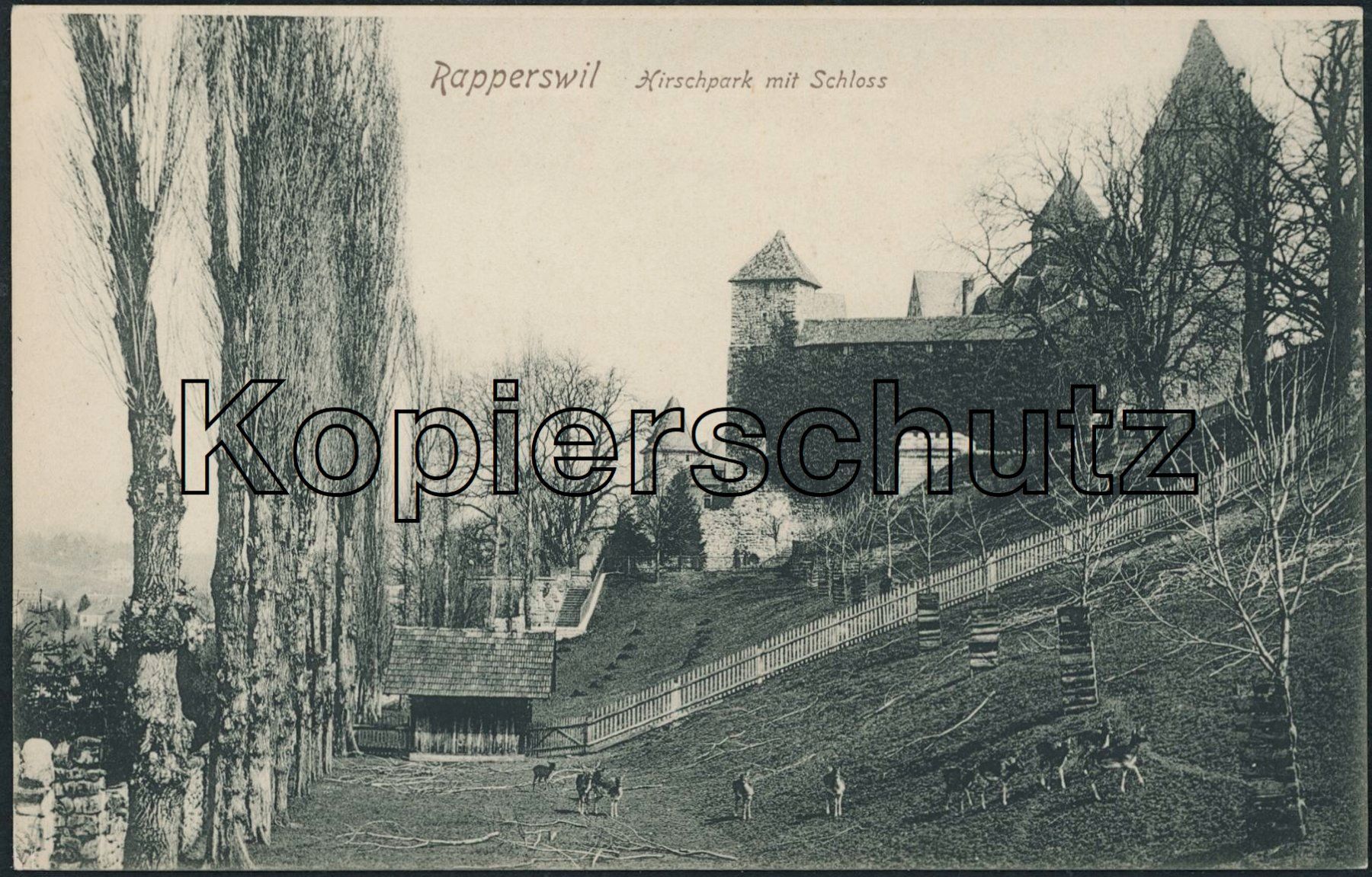 Ansichtskarten: SG Rapperswil – Neu (gemäss Beschreibung) aus Schindellegi von dolpitz