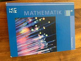 Mathematik Themenbuch Primarstufe 6ZN