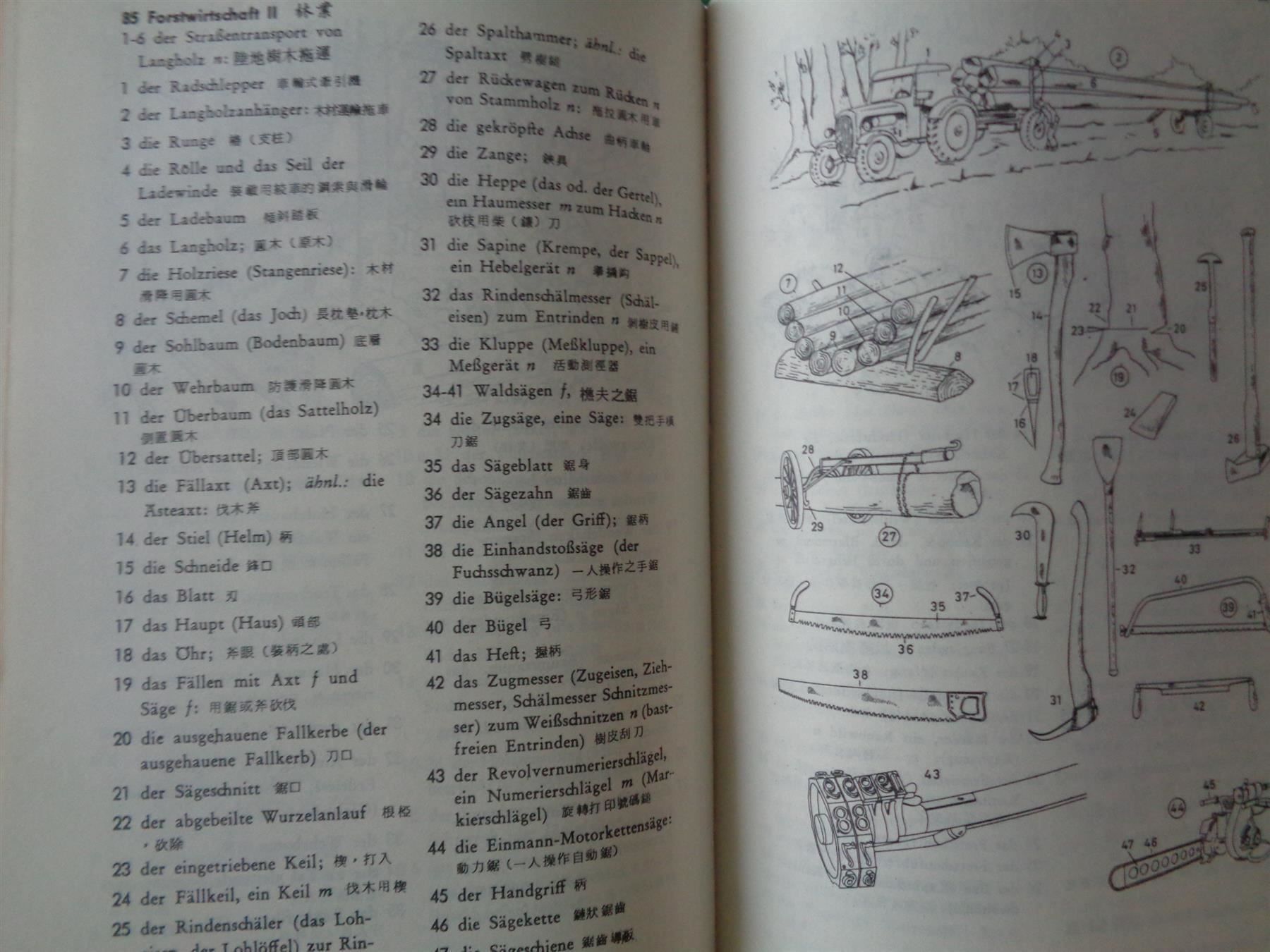 Libri: Deutsch-chinesisches Bilderwörterbuch – Usato da Chur venduto da omonia 3