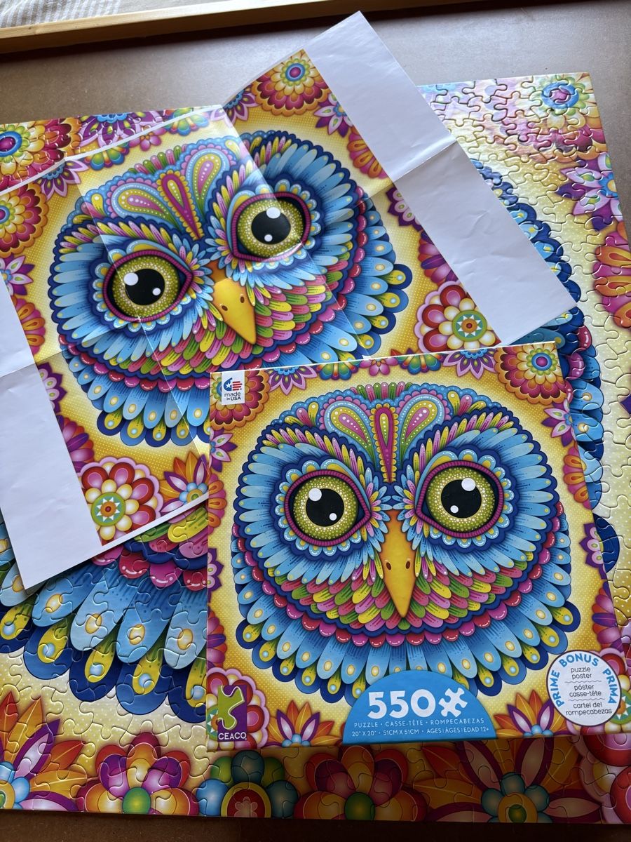 Puzzle: Puzzle CEACO 550 Teile - komplett – Usato da Zweisimmen venduto da Domii 2