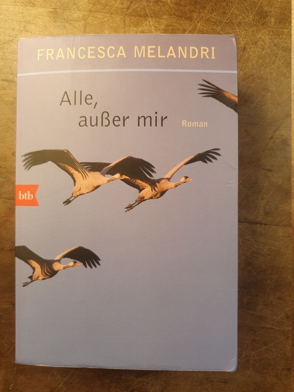 Libri: Alle, ausser mit - Francesca Melandri – Usato da Zürich venduto da loosebone