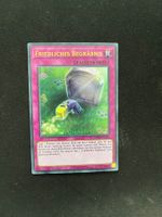 Friedliches Begräbnis (MP20-DE196), Ultra Rare