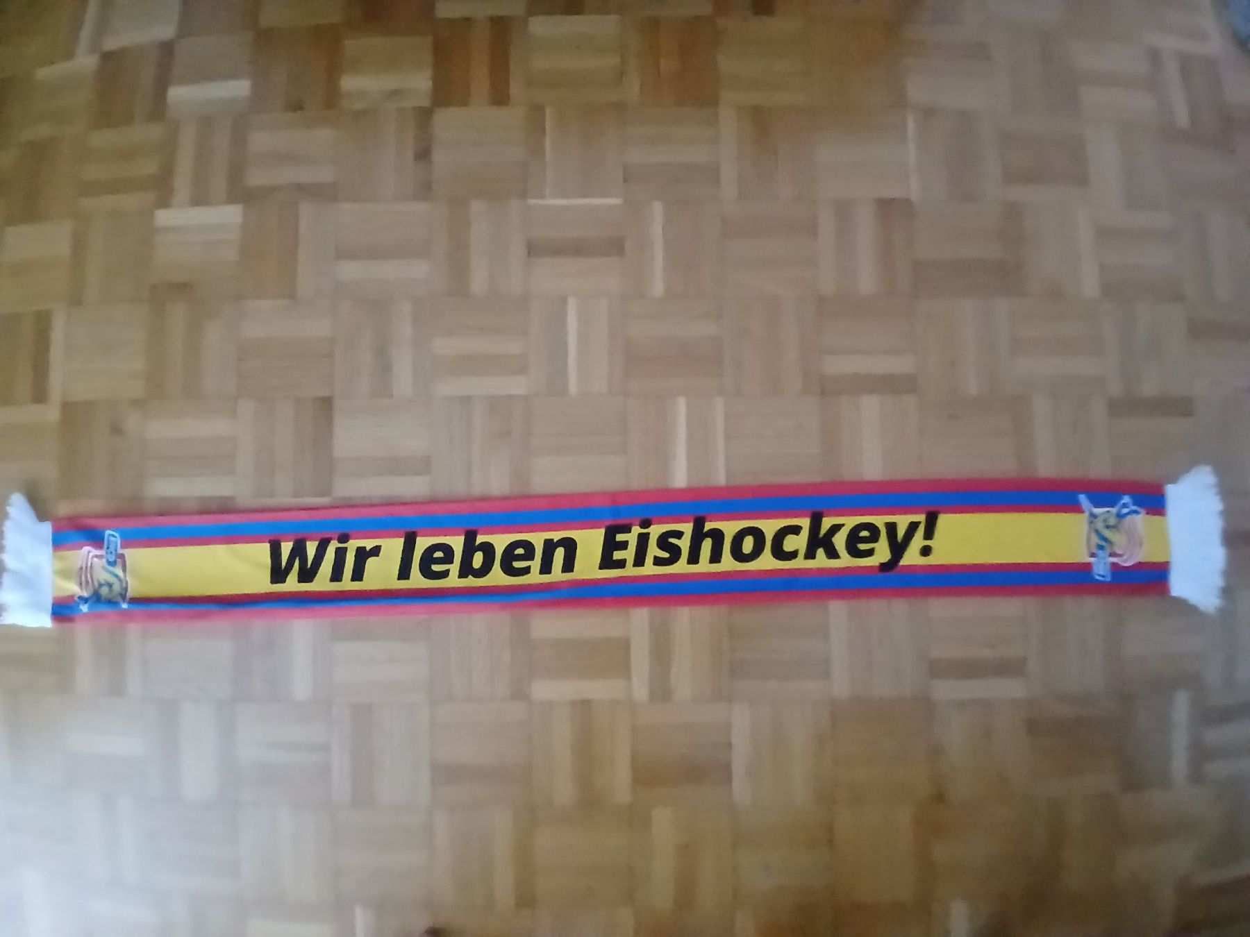 Foulard & Sciarpe: EHC Dübendorf Schal – Usato da Oberglatt ZH venduto da Sandro0124