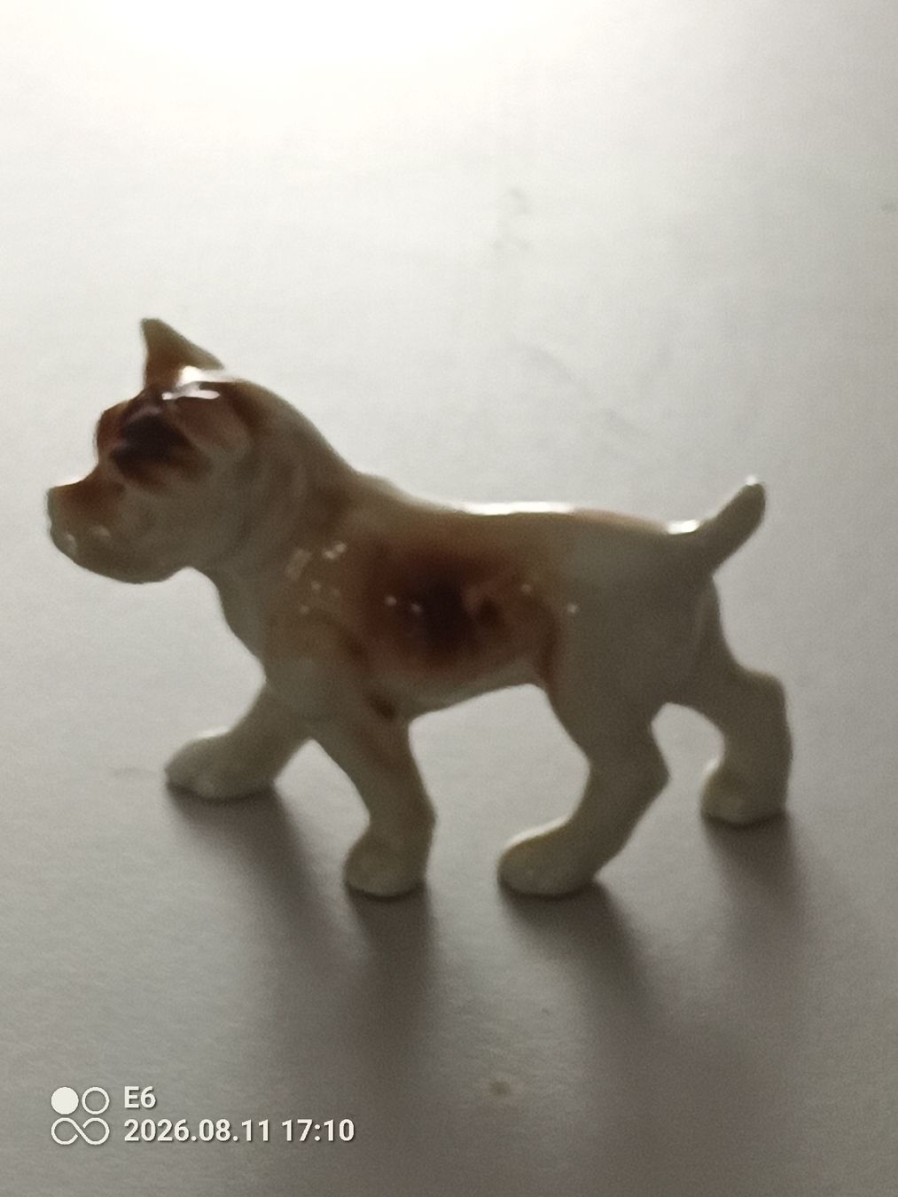 Statuette: Porzellanhund – Nuovo (secondo la descrizione) da Zürich venduto da Mitzi6 2