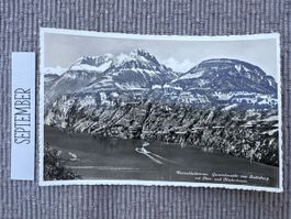 AK von Vierwaldstättersee mit Nieder & Oberauen