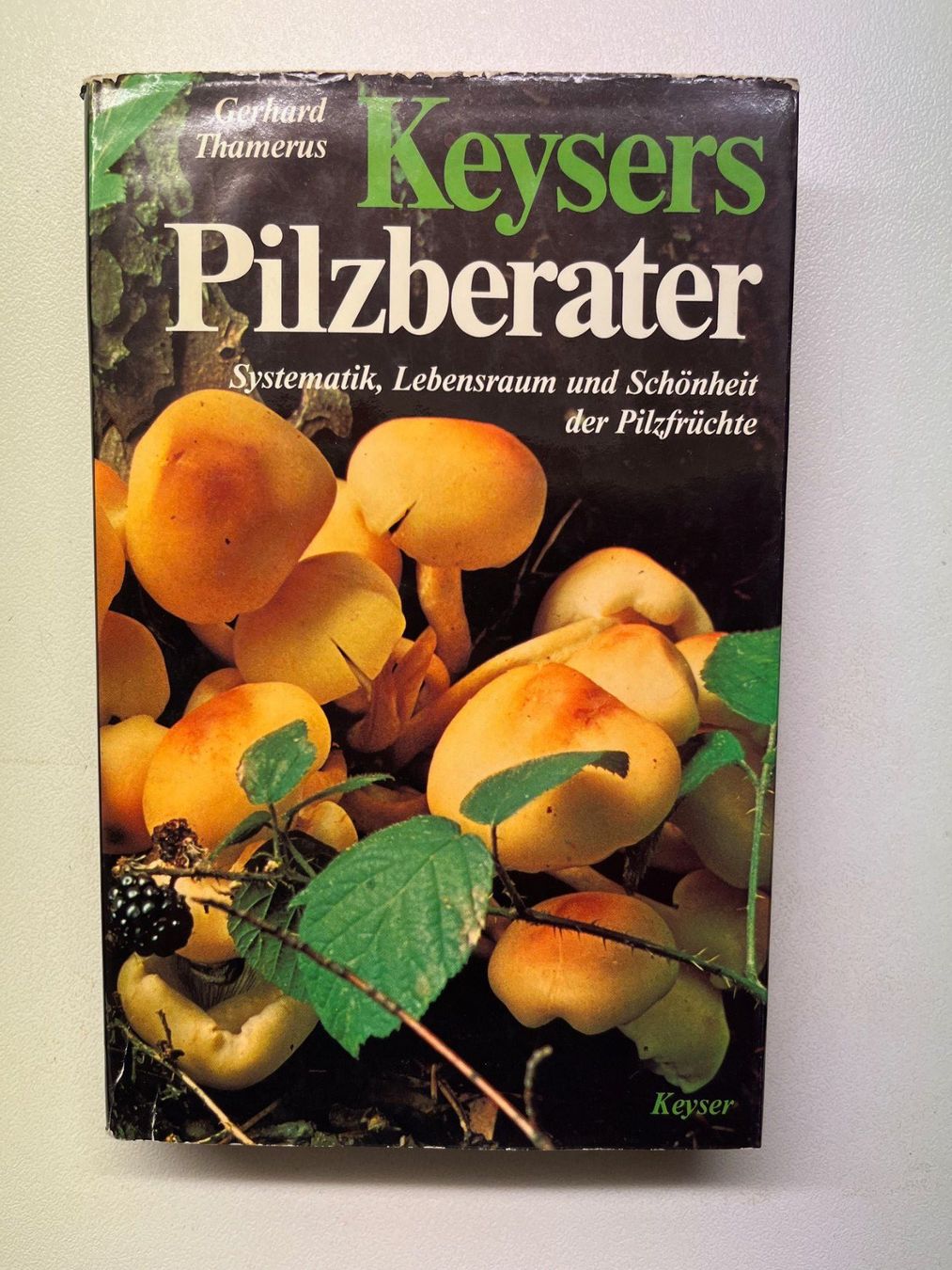Libri: Gerhard Thamerus Keysers Pilzberater – Usato da Laufen venduto da Nuria44