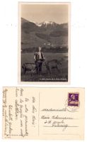 Le petit chevrier de la Haute-Gruyère