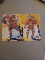 Eishockey Sammelkarten Lakers Albrecht Kellenberger /10