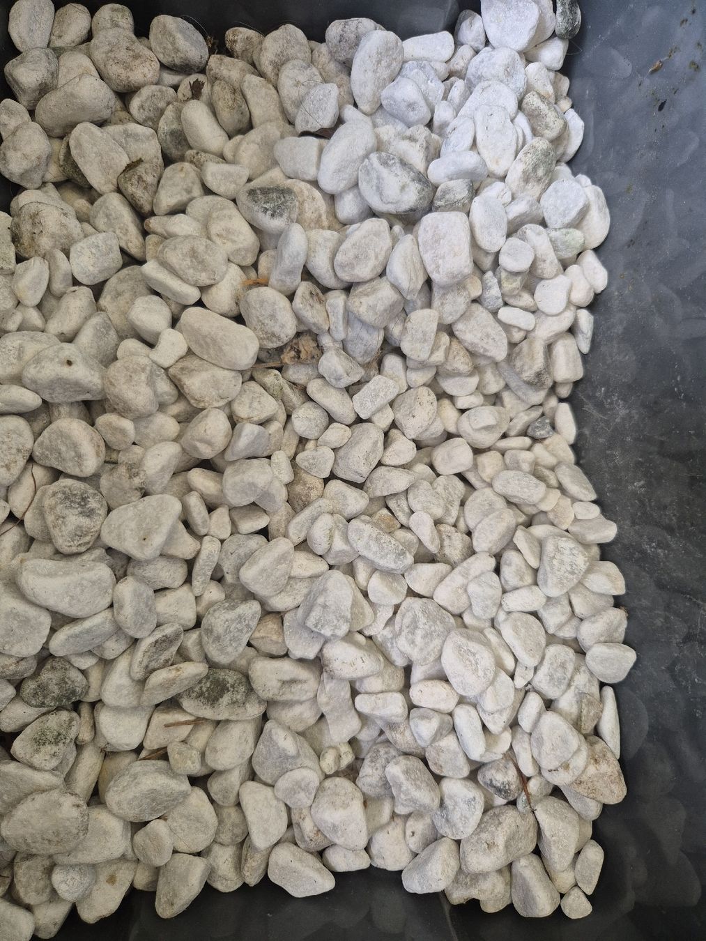 Mattoni da costruzione: Zierkies weiss ca. 2-4 cm – Usato da Roggliswil venduto da peterg93 2