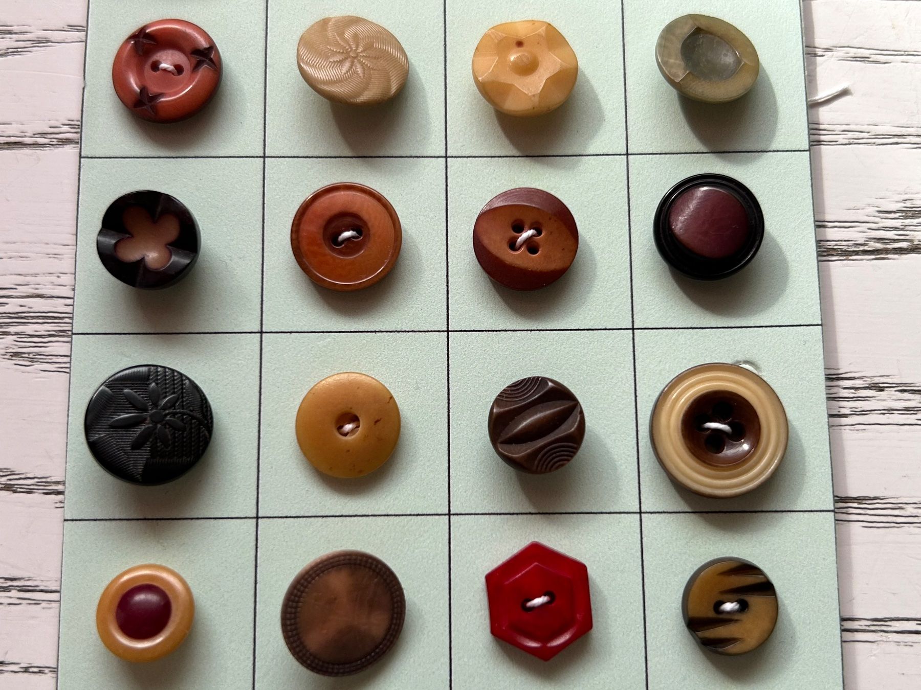 Bottoni: Steinnussknöpfe (Tagua Nut) – Nuovo (secondo la descrizione) da Pfeffingen venduto da Alusru70 2