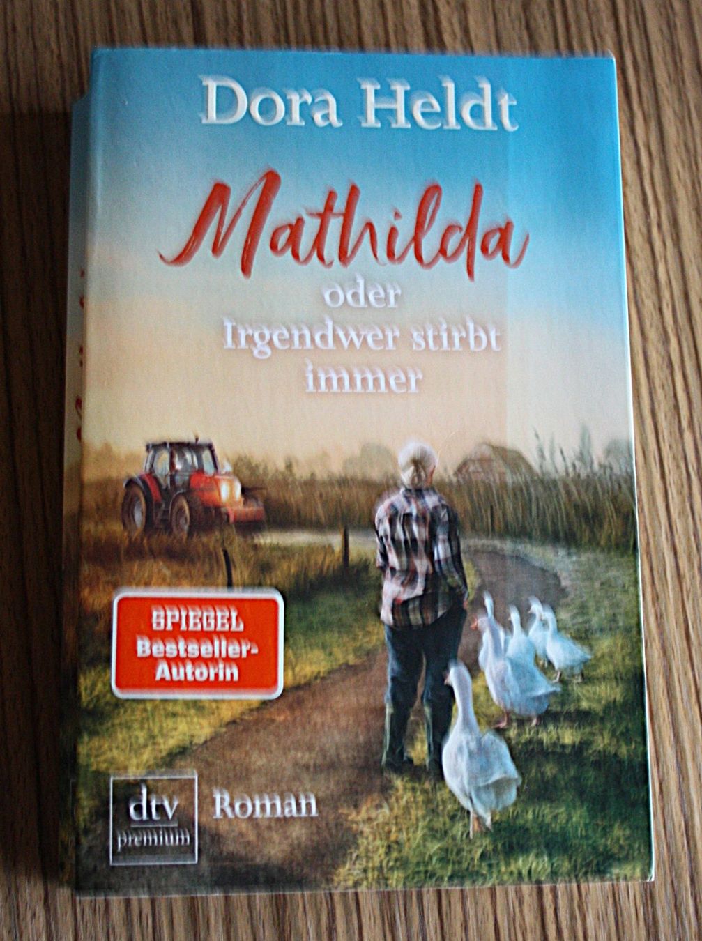 Bücher: Mathilda oder Irgendwer stirbt immer DORA HELDT – Gebraucht aus Flüelen von Rosegarden