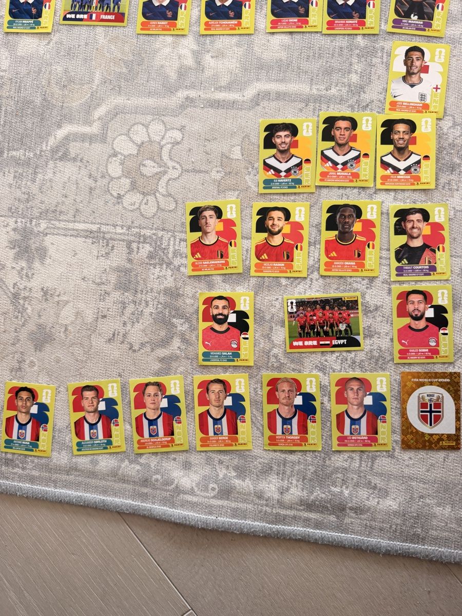 Panini Carte collezionabili: Panini 2026 – Usato da Bülach venduto da nme_j699 2