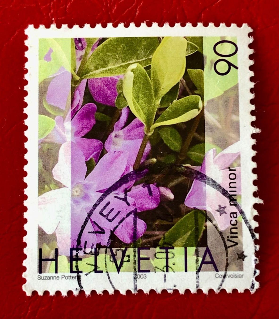 Tutti i francobolli: Nr.1074 Gemeines Flora,Immmergrün GESTEMPELT 2003     – Usato da Aarau venduto da Billa007