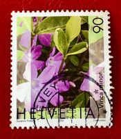 Nr.1074 Gemeines Flora,Immmergrün GESTEMPELT 2003    