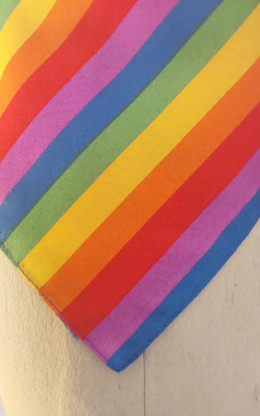 Foulards, Tücher & Schals: Tuch quadratisch Regenbogenfarben Polyester – Gebraucht aus Köniz von scopello12 2