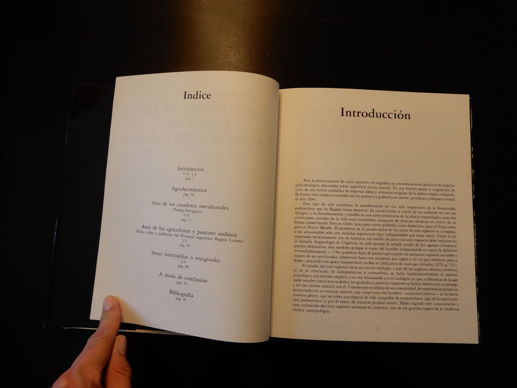 Libri: Arte Rupestre de la Argentina (Spanisch) – Usato da Erstfeld venduto da Mario_boe0 2