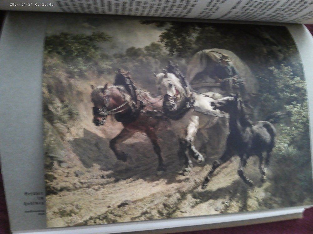 Bücher: Buch: Adolf Frey - Rudolf Roller, Tiermaler, 1828-1905 – Gebraucht aus Volketswil von nemo2000 5