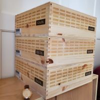 Original GAJA Holz-Weinkiste mit Schiebedeckel Magnum | Deko