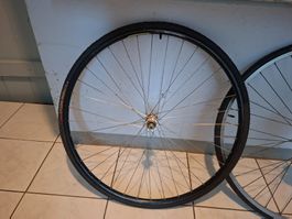 Fahrrad/Velo Felgen und Reifen guter Zustand
