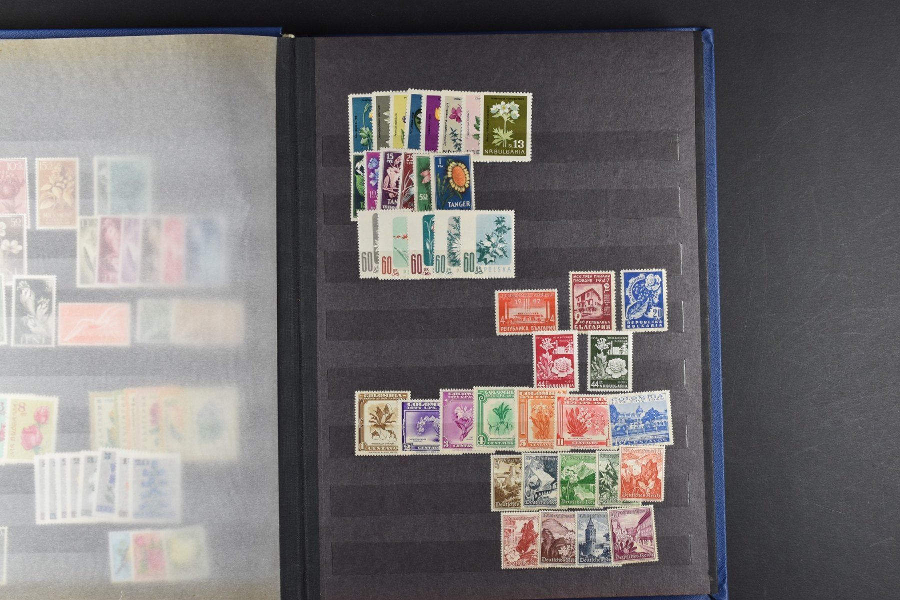 Tutti i francobolli: SAMMLUNG, BLUMEN, 2 EINSTECK-ALBEN, 900+ MARKEN – Usato da Wetzikon ZH venduto da Philimpex