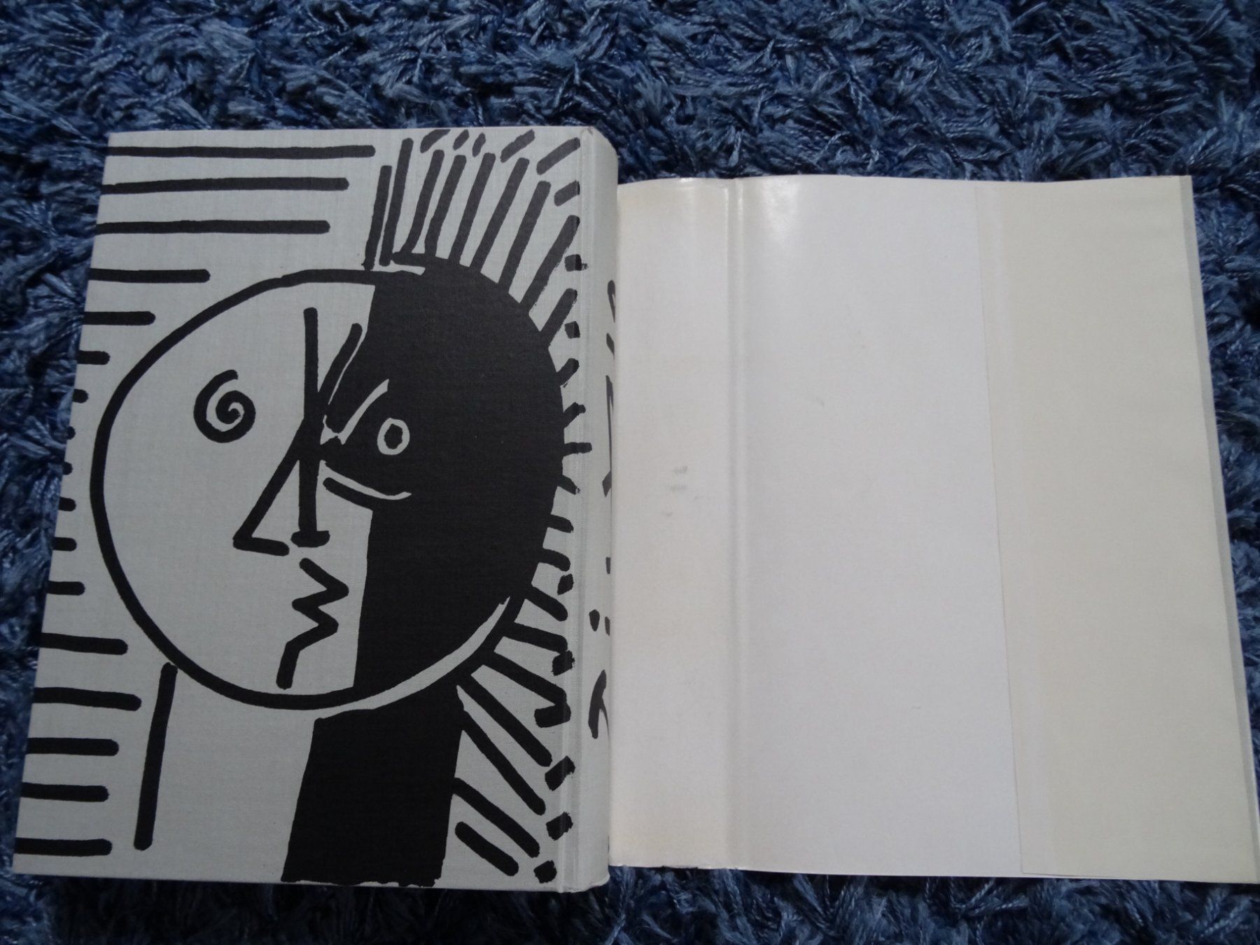Libri: Pablo Picasso von Wilhelm Boeck, 1955 – Usato da Lupfig venduto da Buerkli20 6