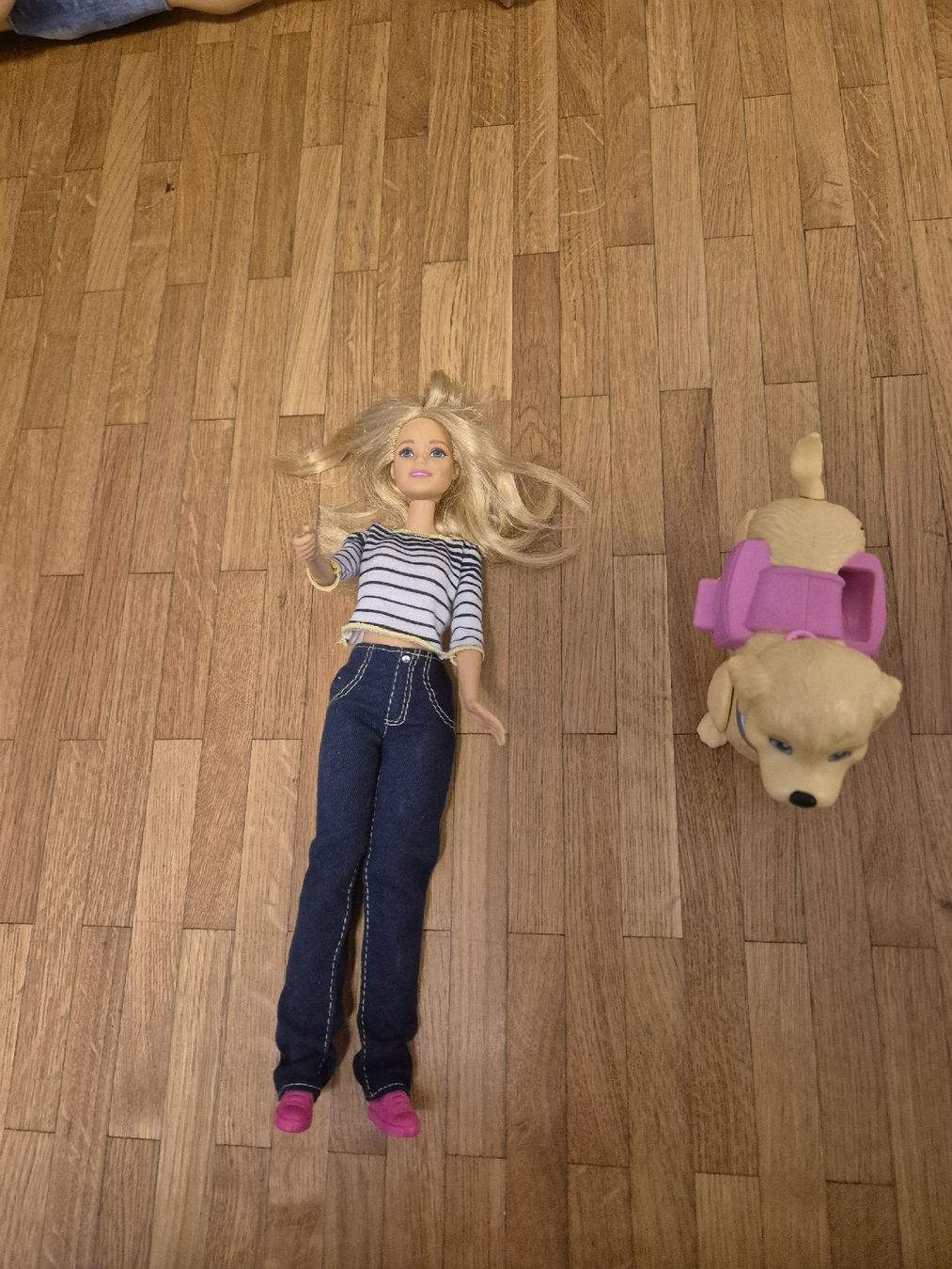 Bambole: Barbie et son chien – Usato da Granges-Paccot venduto da smo_dp89