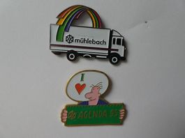 2 Pins, Mühlebach Lupfig-Birr, Lastwagen und Agenda 95.