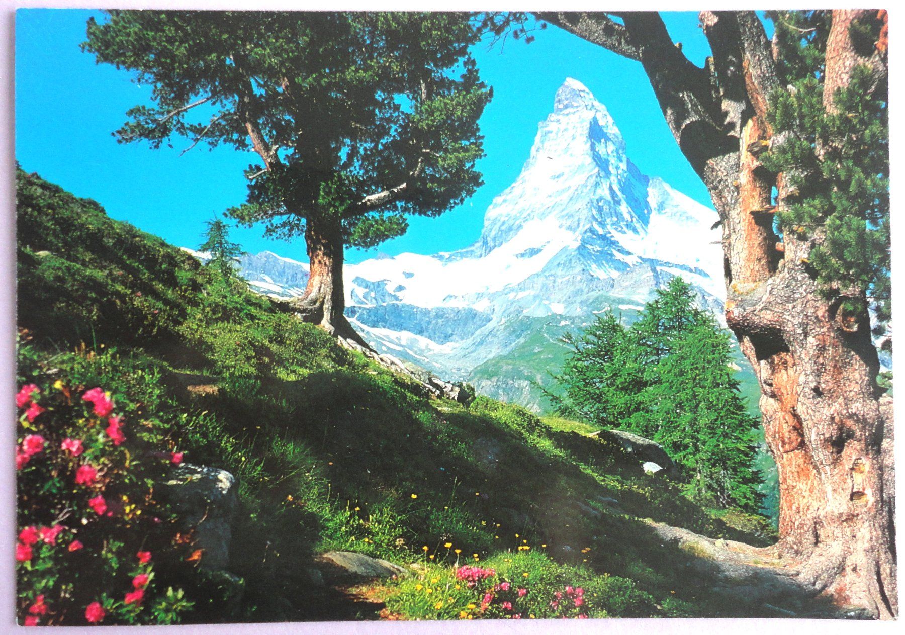 Ansichtskarten: Matterhorn 4478 m – Gebraucht aus Fétigny von Billy2miny
