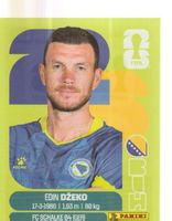 FIFA WORLD CUP 2026 Panini Sticker BIH 18 EDIN DZEKO