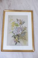 Chrom-Lithografie - Lila Lilien im Goldrahmen handvergoldet